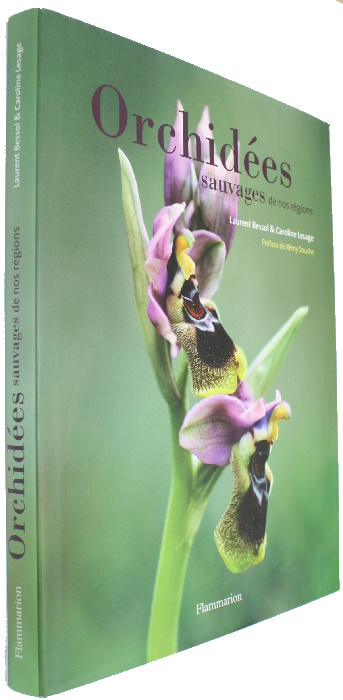 Bessol, L.; Lesage, C. - Orchides sauvages de nos rgions