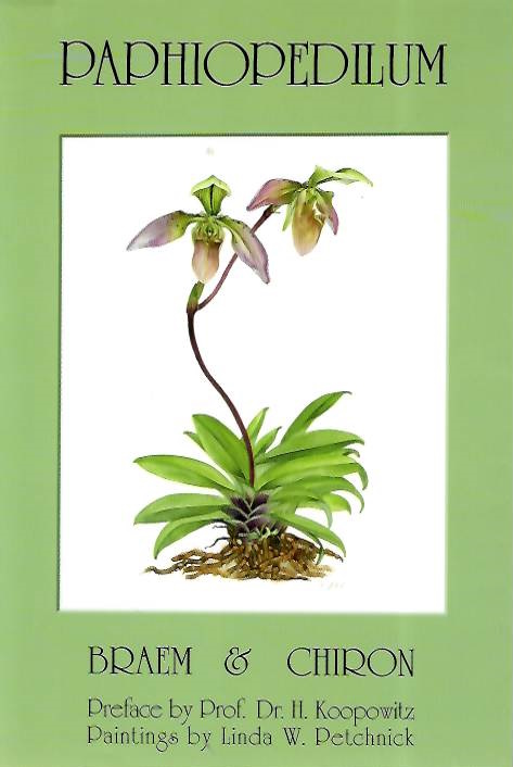 Braem, G.J.; Chiron, G.R. - Paphiopedilum