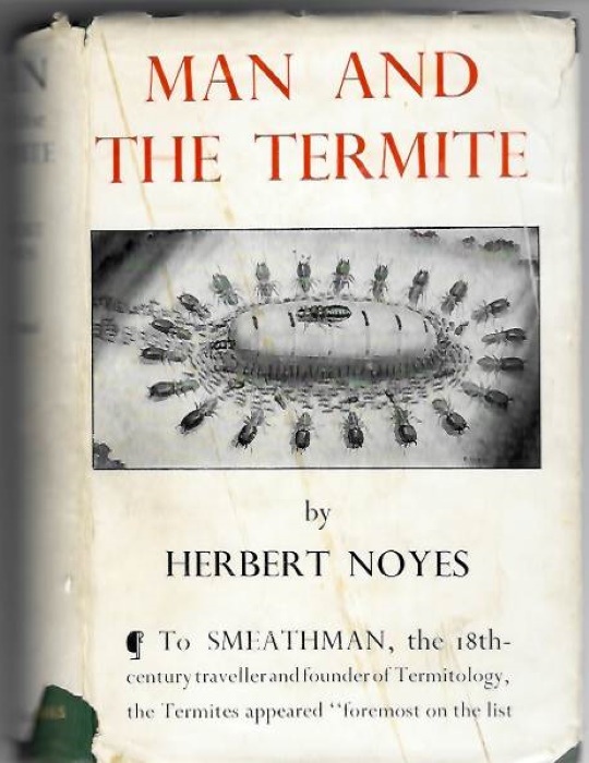 Noyes,H. - Man and the Termite