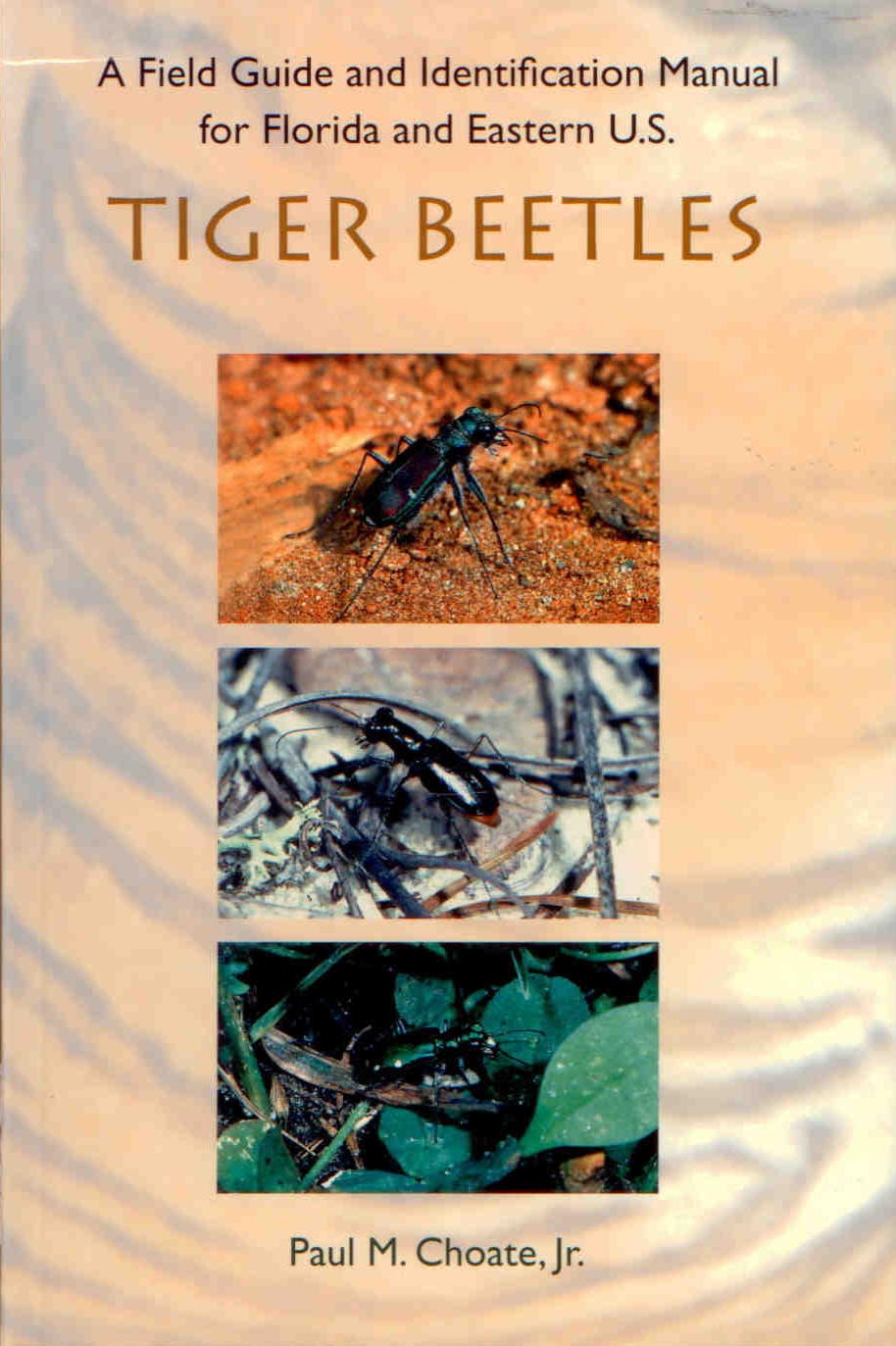 Choate, P.M. - Field Guide and Identification Manual for Florida and Eastern US Tiger Beetles