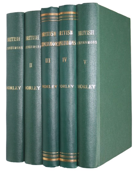 Morley, C. - Ichneumonologia Britannica. The Ichneumons of Great Britain