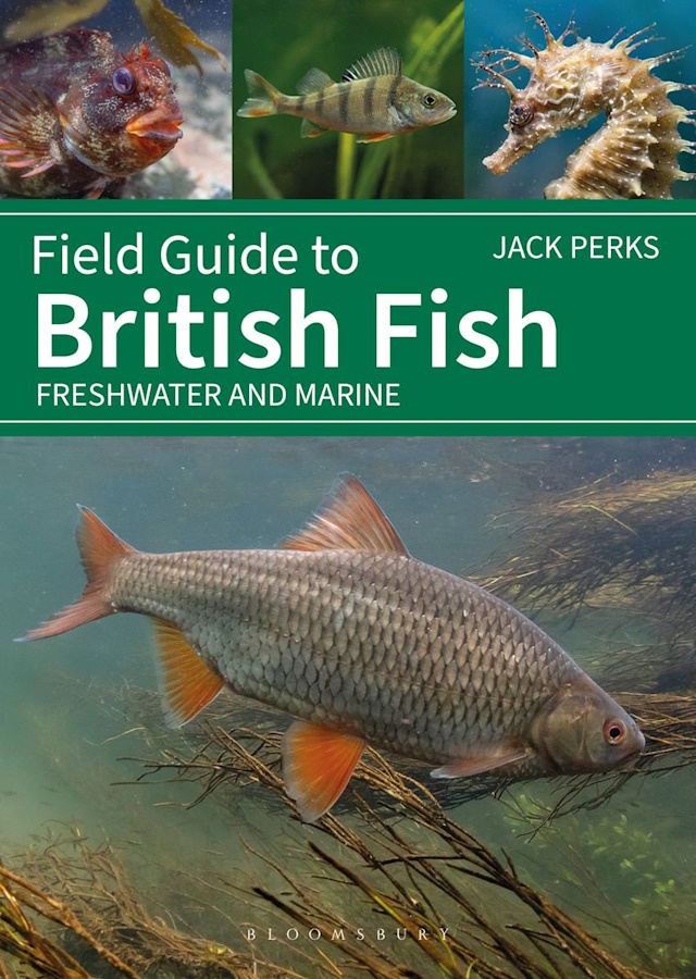 Perks, J. - Field Guide to British Fish: Freshwater and Marine