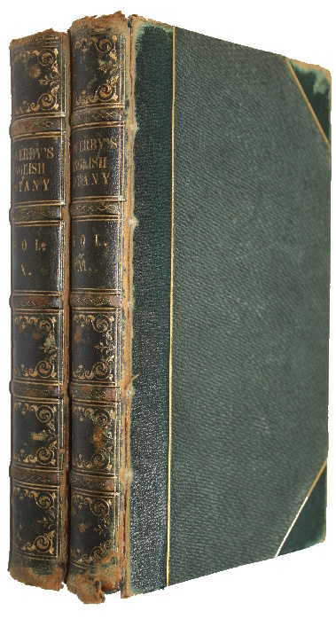 Smith, James Edward; Sowerby, James - English Botany. Vol. X-XI [Lichens]