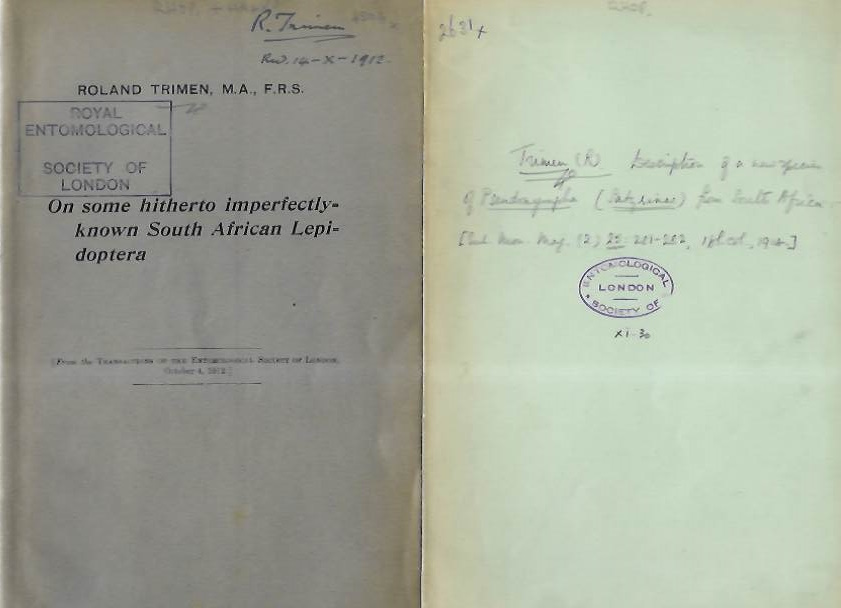 Trimen, R. - On some hiterto imperfectly-known South African Lepidoptera [with] Description of a new species of <i>Pseudonympha</i> (Satyrinae) from South Africa
