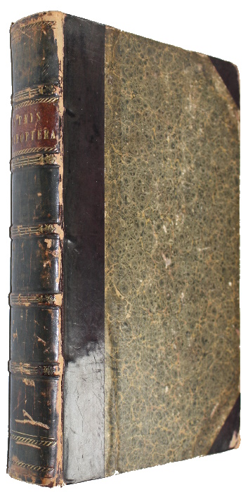 Shuckard, W.E.; Spry, W. - The British Coleoptera Delineated