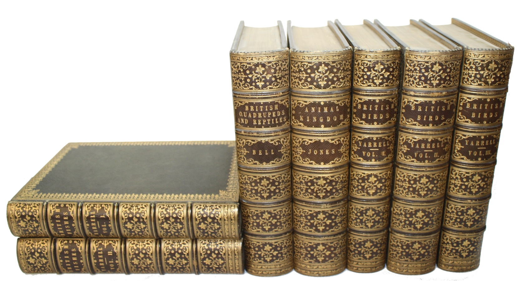 Yarrell, William; Jones, Thomas Rymer; Bell, Thomas - A History of British Fishes. Vol. I-II [and] An Outline of the Animal Kingdom [and] A History of British Quadrupeds [with] ... Reptiles [and] A History of British Birds. Vol. I-III