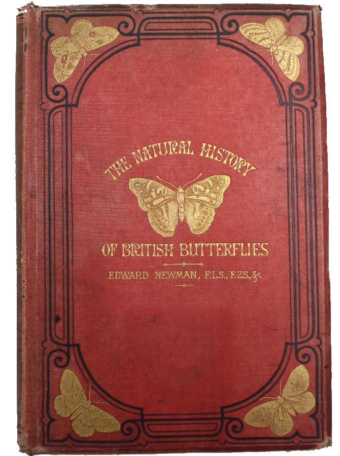 Newman, Edward - An Illustrated Natural History of British Butterflies
