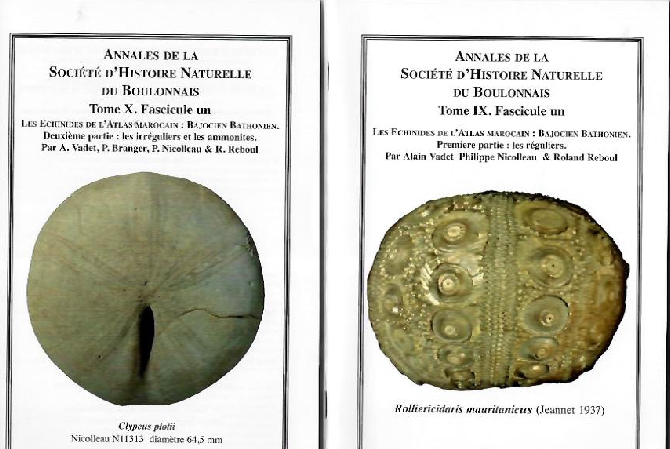 Vadet, A. et al. - Les Echinides de l'Atlas Marocain: Bajocien Bathonien Pt 1, les rguliers, Pt 2, les irrguliers et les ammonites