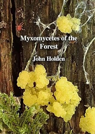 Holden, J. - Myxomycetes of the Forest