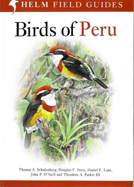 Schulenberg, T.S.; Stolz, D.F.; Lane, D.F.; O'Neill, J.P.; Parker III, T.A. - Birds of Peru