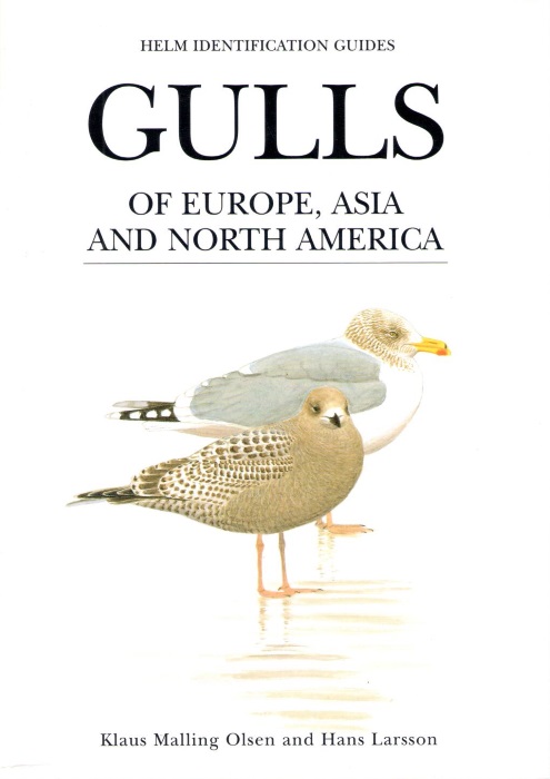 Olsen, K.M.; Larsson, H. (Illustrator) - Gulls of Europe, Asia and North America