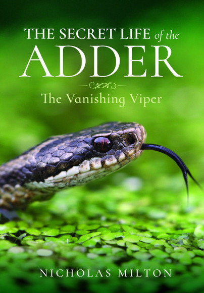 Milton, N. - The Secret Life of the Adder: The Vanishing Viper