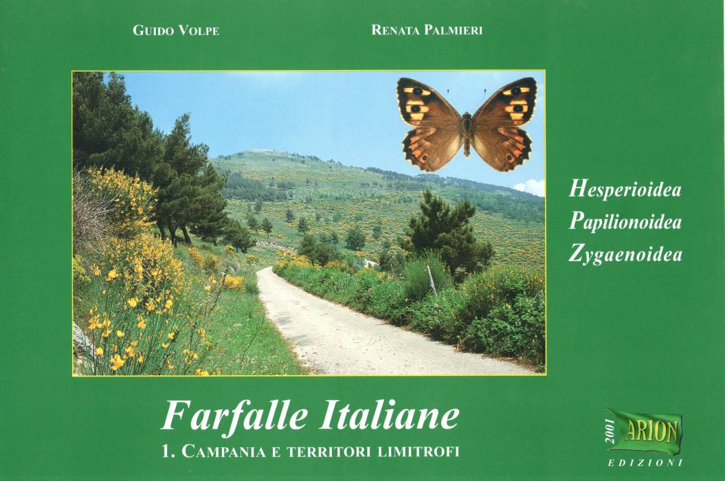 Volpe, G.; Palmieri, R. - Farfalle Italiane. Hesperioidea, Papilionoidea, Zygaenoidea 1. Campania e Territori Limitrofi