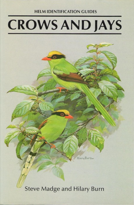 Madge, S.; Burn, H. - Crows and Jays: A Guide to the Crows, Jays and Magpies of the World