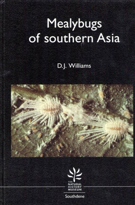Williams, D.J. - Mealybugs of southern Asia