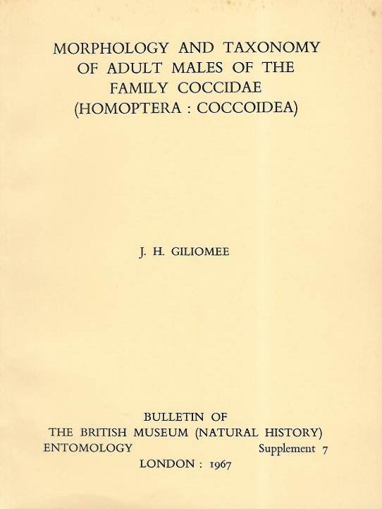 Giliomee, J.H. - Morphology and taxonomy of adult males of the family Coccidae (Homoptera: Coccoidea)