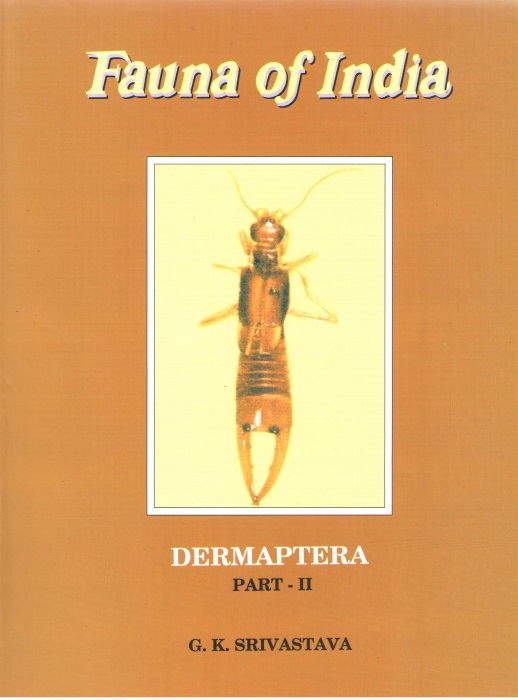 Srivastava, G.K. - Dermaptera 2: Anisolaboidea Fauna of India
