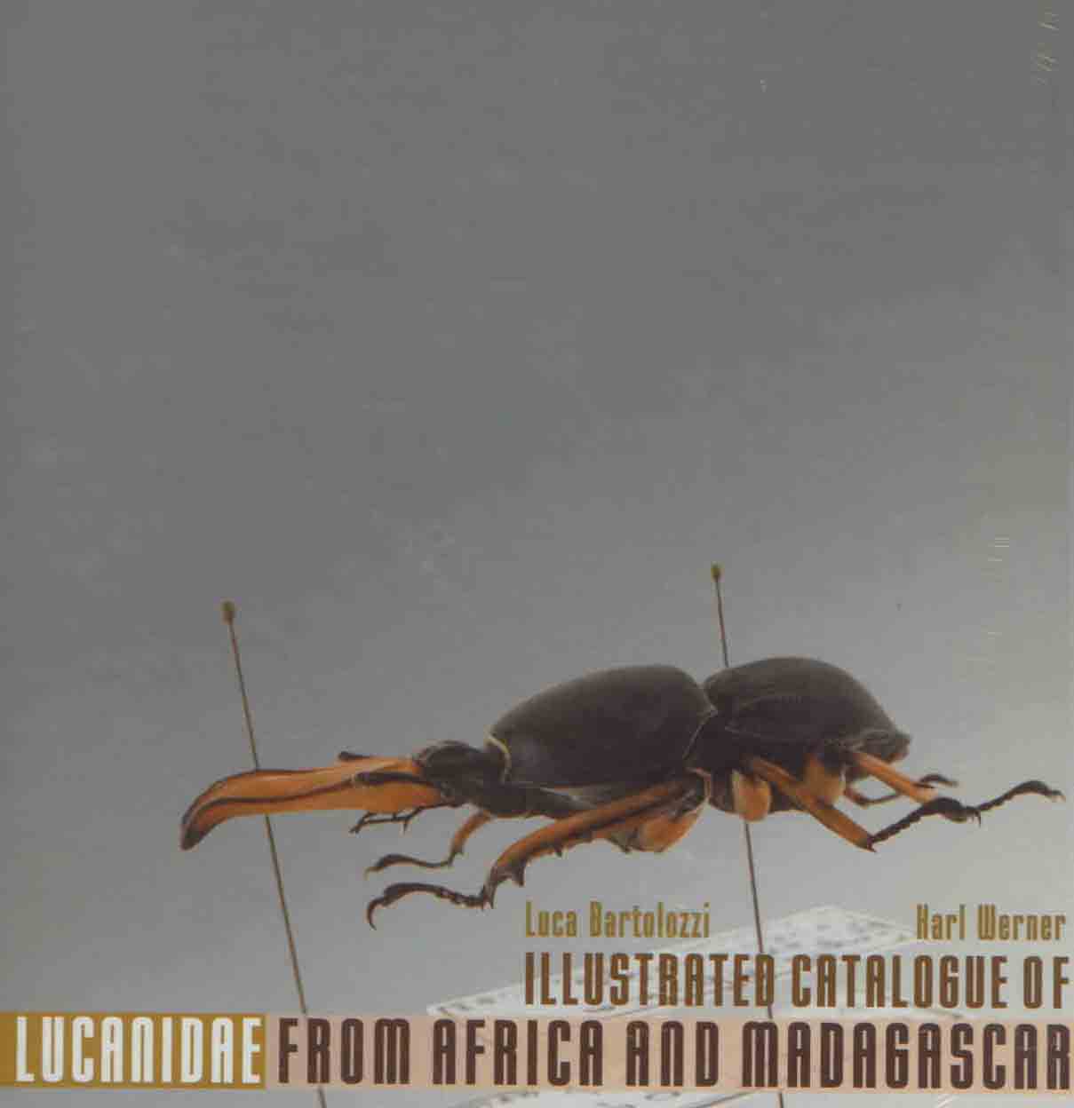 Bartolozzi, L.; Werner, K. - Illustrated Catalogue of the Lucanidae from Africa and Madagascar