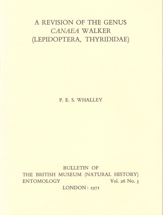 Whalley, P. - A Revision of the Genus Canaea Walker (Lepidoptera, Thyrididae)