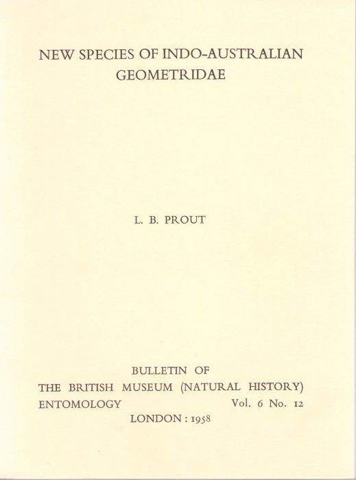 Prout, L.B. - New Species of Indo-Australian Geometridae