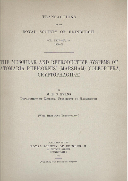 Evans, M.E.G. - The Muscular and Reproductive Systems of Atomaria ruficornis (Marsham) (Coleoptera, Crytophagidae)