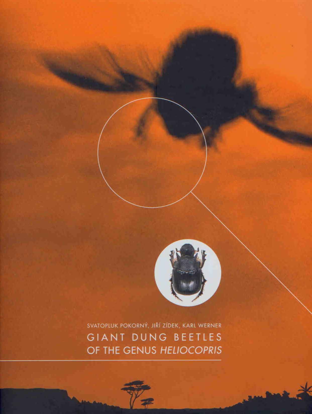 Pokorny, S.; Zidek, J.; Werner, K.Pokorny, S.; Zidek, J.; Werner, K. - The Giant Dung Beetles of the Genus Heliocopris (Scarabaeidae)