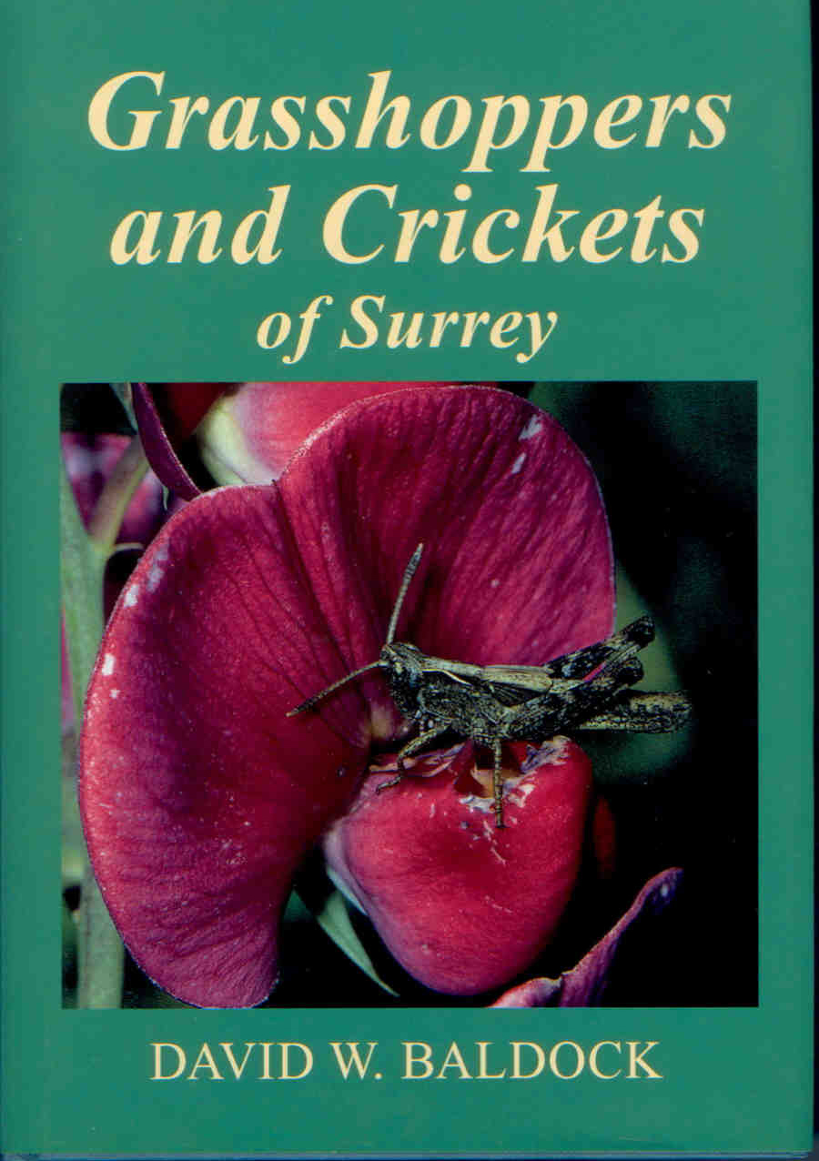 Baldock, D.W. - Grasshoppers and Crickets of Surrey