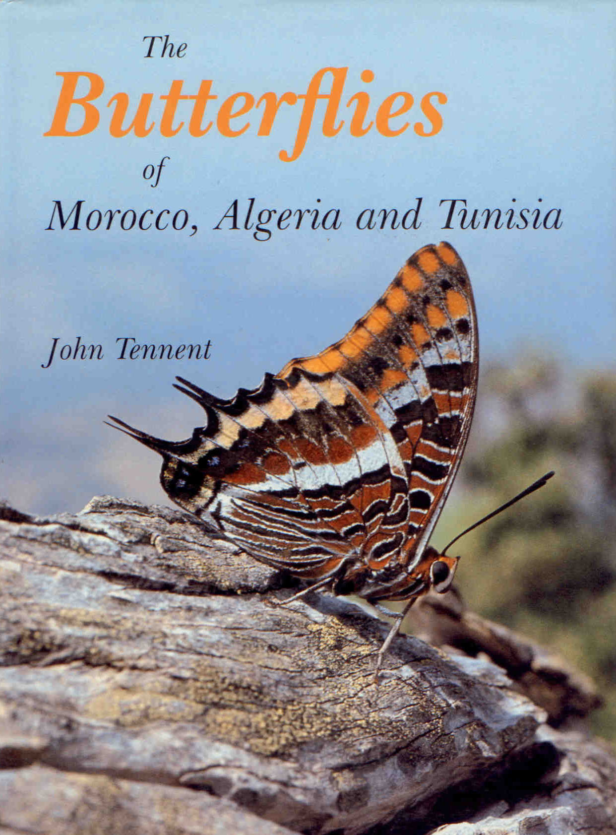 Tennent, J. - The Butterflies of Morocco, Algeria and Tunisia