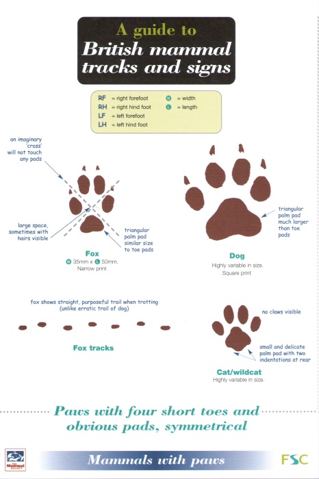 Bullion, S. - Guide to British Mammal Tracks and Signs (Identification Chart)