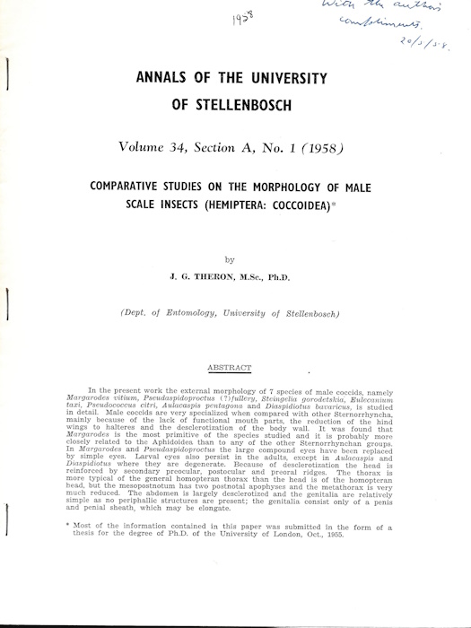 Theron, J.G. - Comparative studies on the Morphology Male Scale Insects (Hemiptera: Coccoidea)