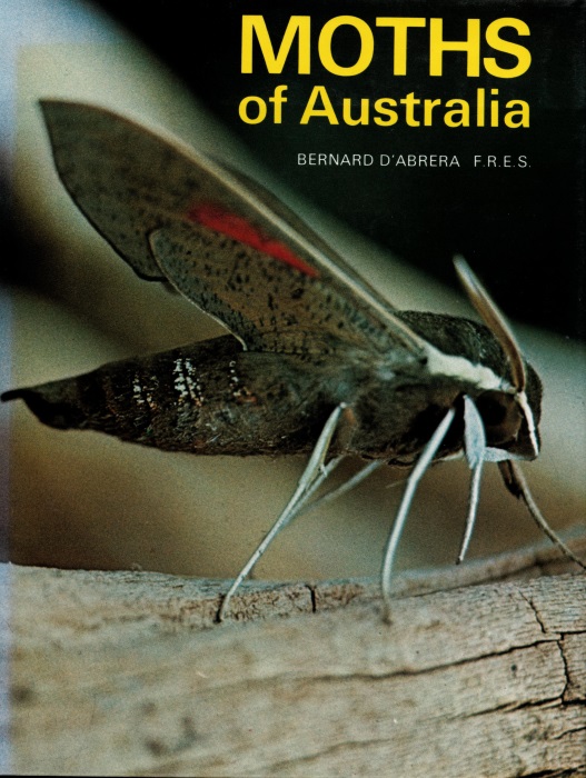d'Abrera, B. - Moths of Australia