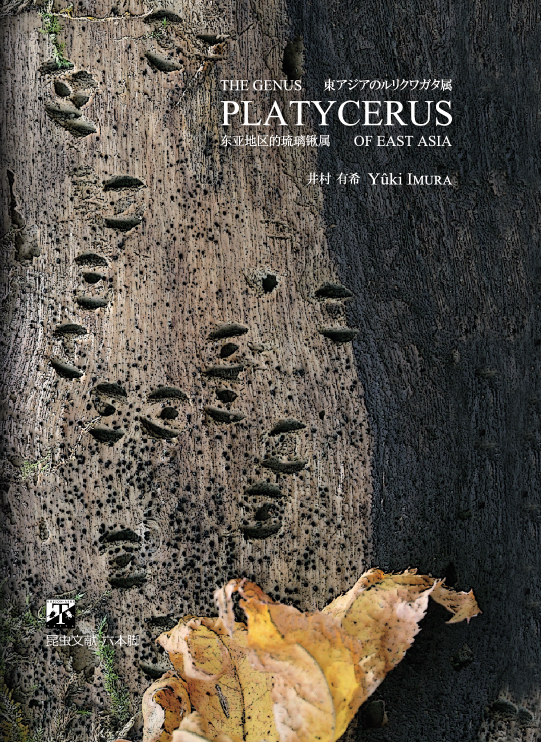 The Genus Platycerus of East Asia by Imura, Y.