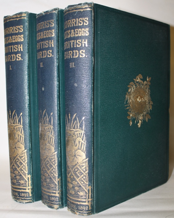 Click for more details or to order this title