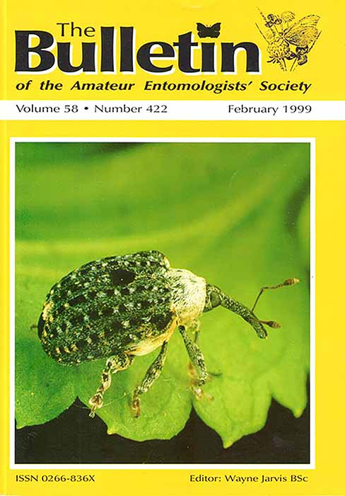 amateur entomolgist society Asian furniture pillow