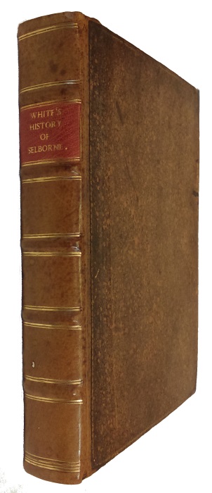 Click for more details or to order this title