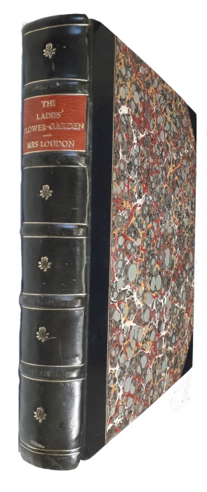 Click for more details or to order this title