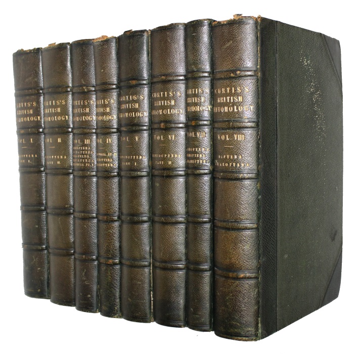Click for more details or to order this title