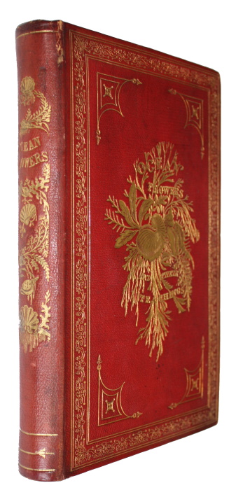 Click for more details or to order this title