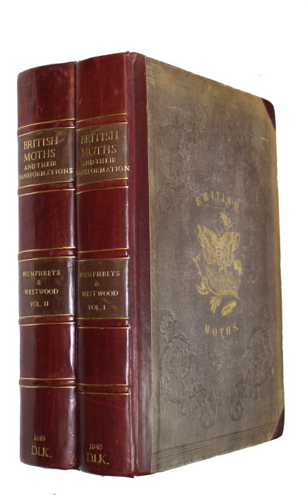 Click for more details or to order this title