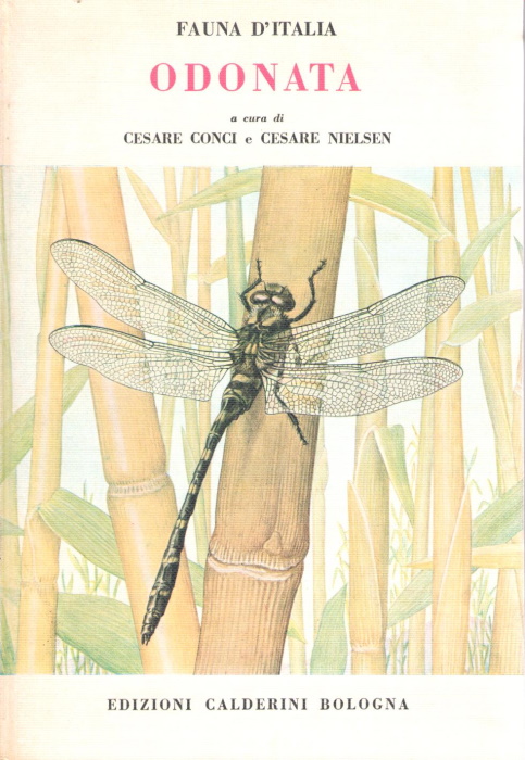 Click for more details or to order this title