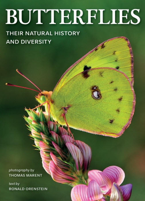 Click for more details or to order this title