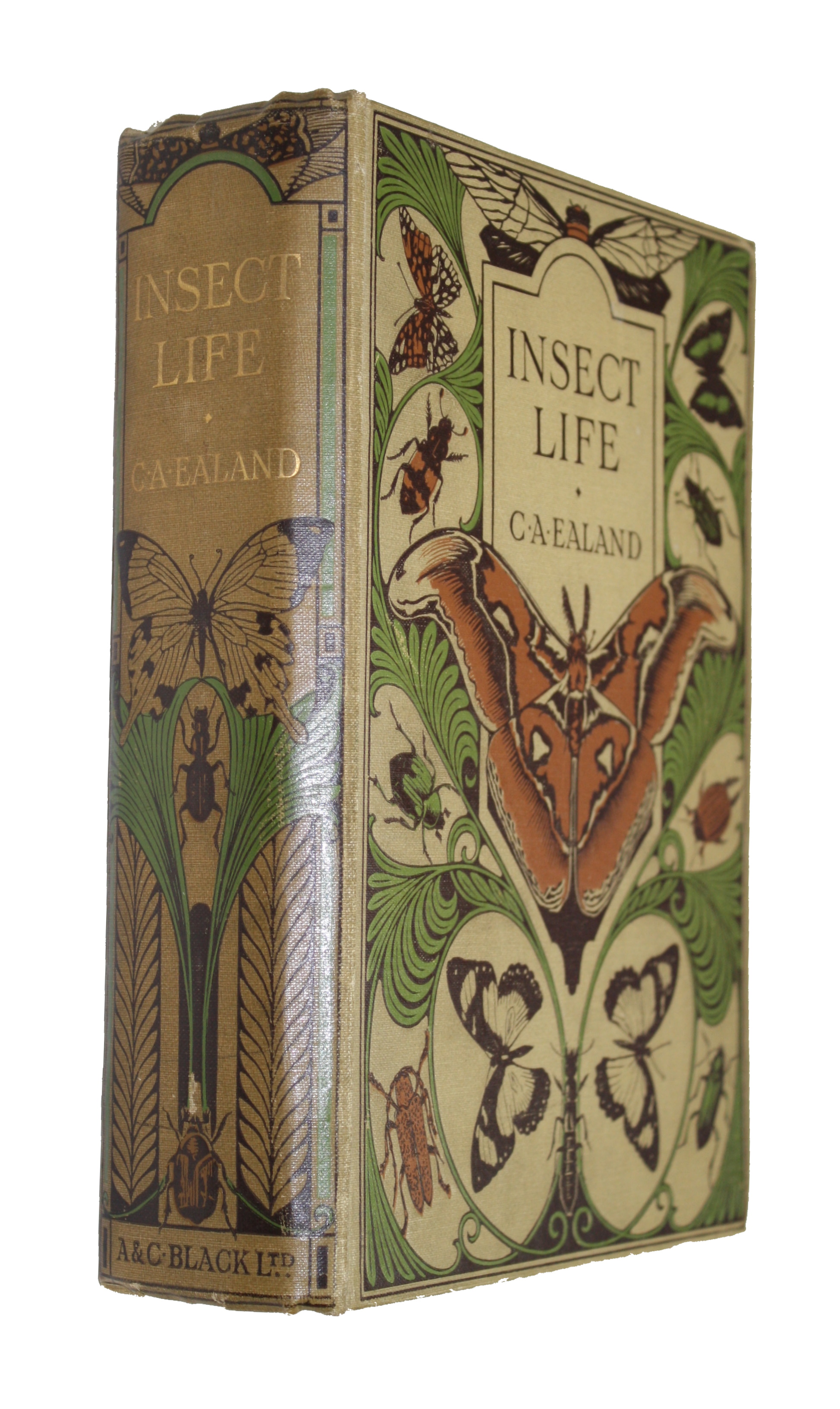 Click for more details or to order this title