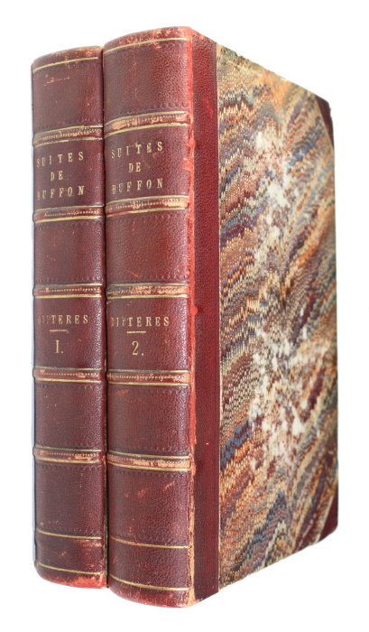 Click for more details or to order this title