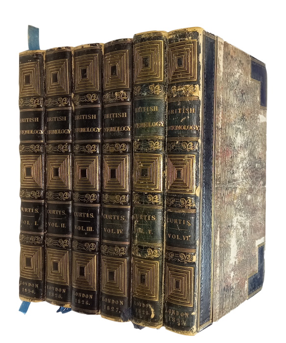 Click for more details or to order this title