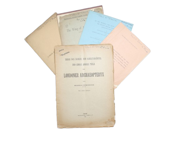 Click for more details or to order this title