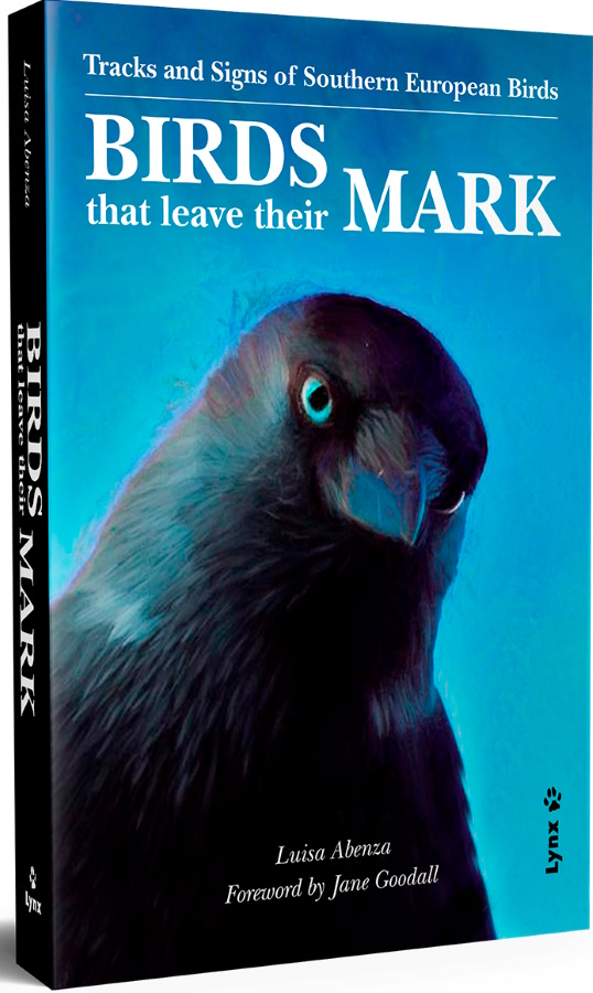 Click for more details or to order this title