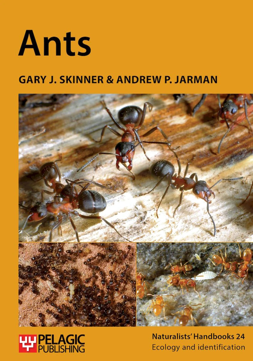 Click for more details or to order this title
