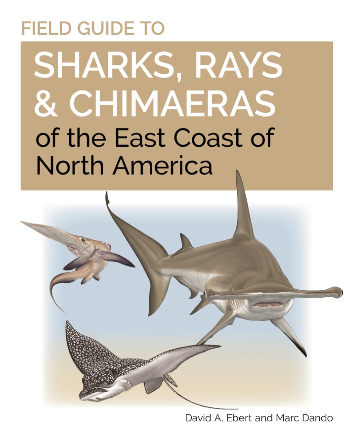 Click for more details or to order this title