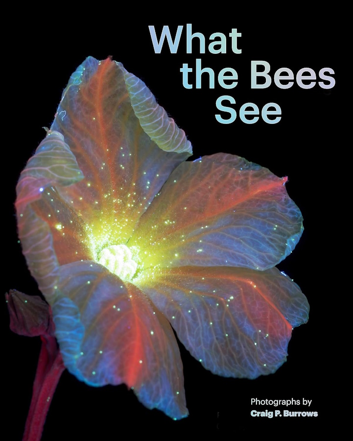 Click for more details or to order this title