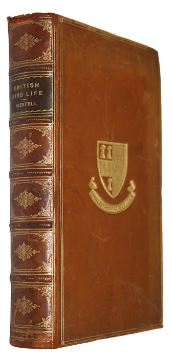 Click for more details or to order this title